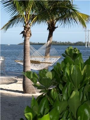 Banana Bay Resort (Adults Only) Key West Bagian luar foto